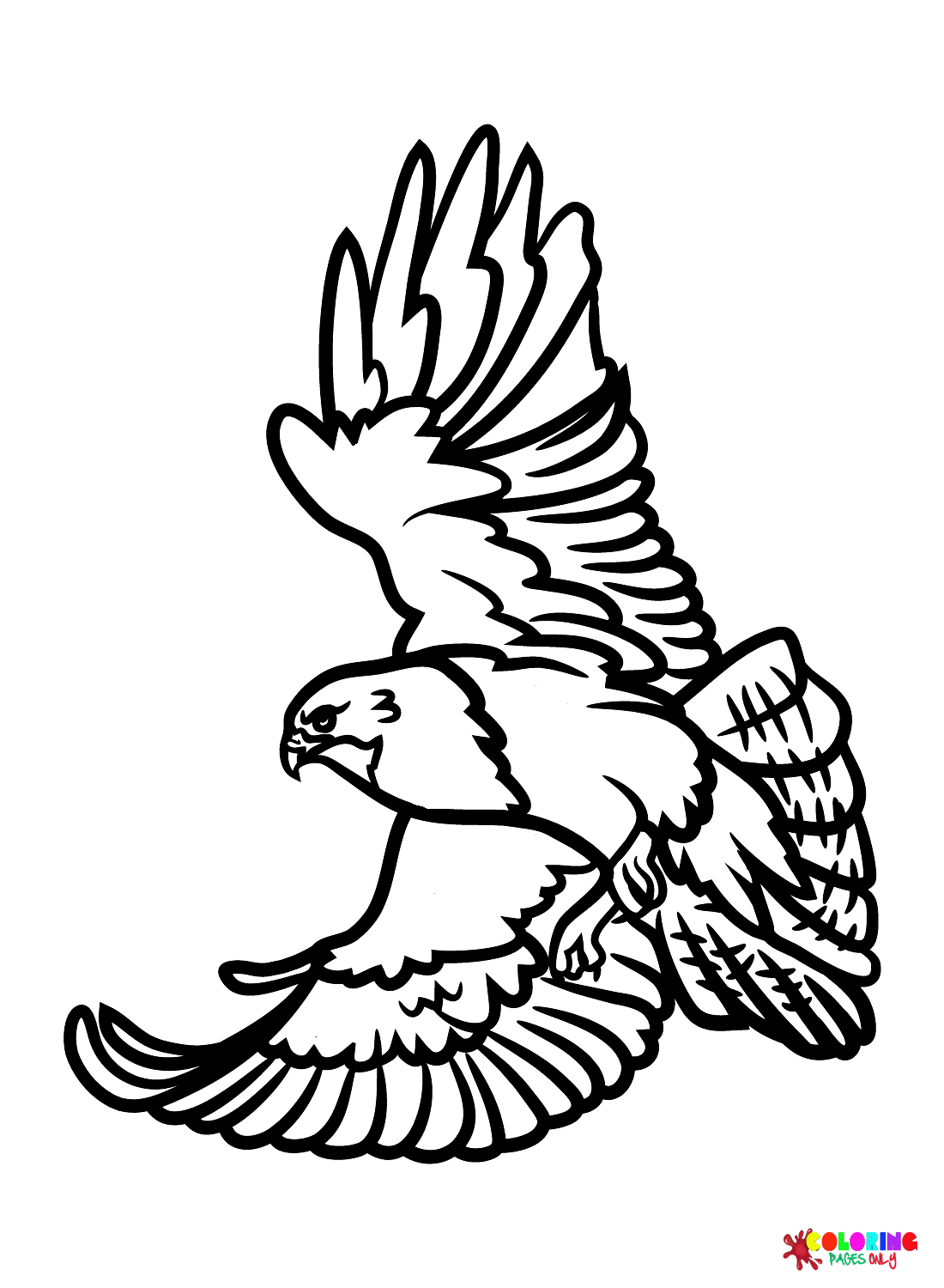 Hawk printable coloring page