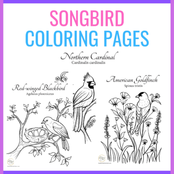 North american songbird coloring pages by prairie roots homeschool