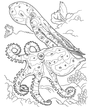 Free coloring page coral reef coloring book download free crafts for kids dover coloring books