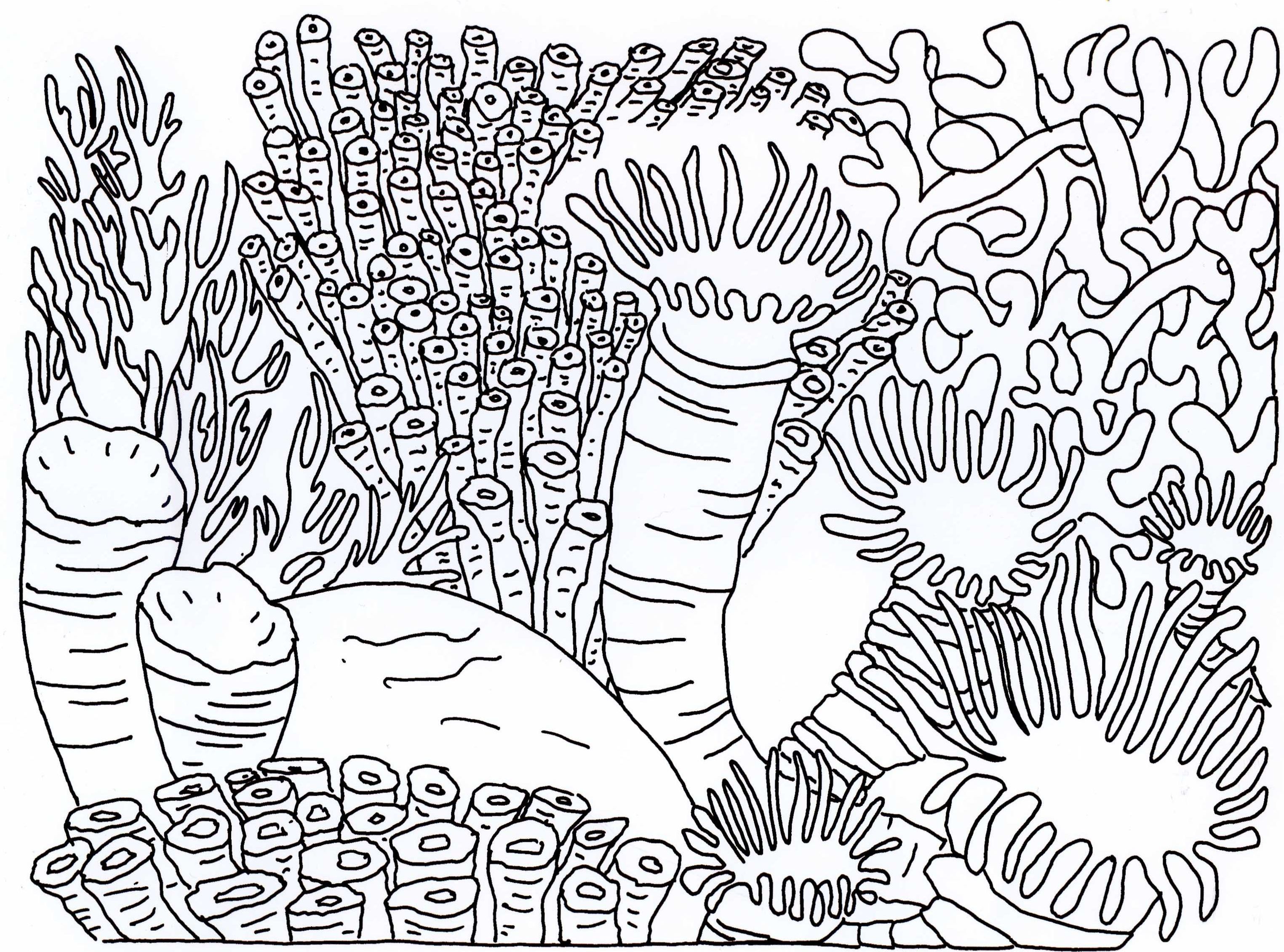 Coral coloring pages