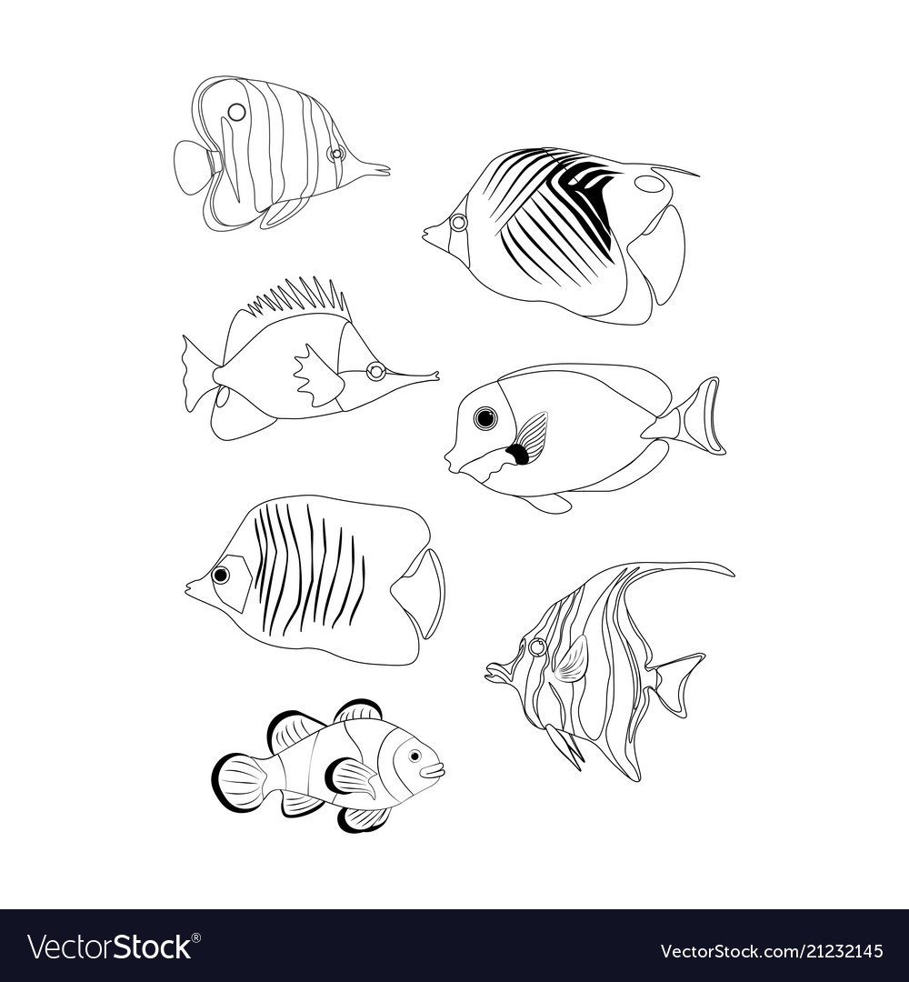 Tropic coral fish coloring pages royalty free vector image