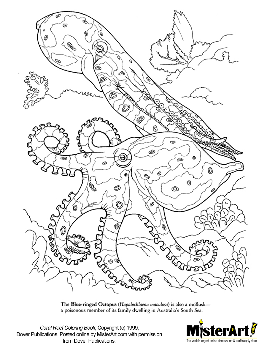 Free coloring page coral reef coloring book download free crafts for kids dover coloring books