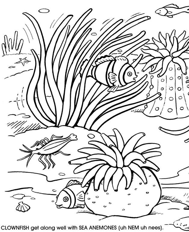 Under the sea coloring pages free