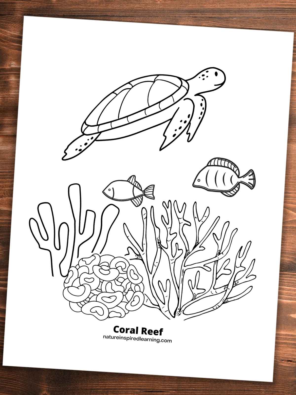 Coral reef coloring pages for kids