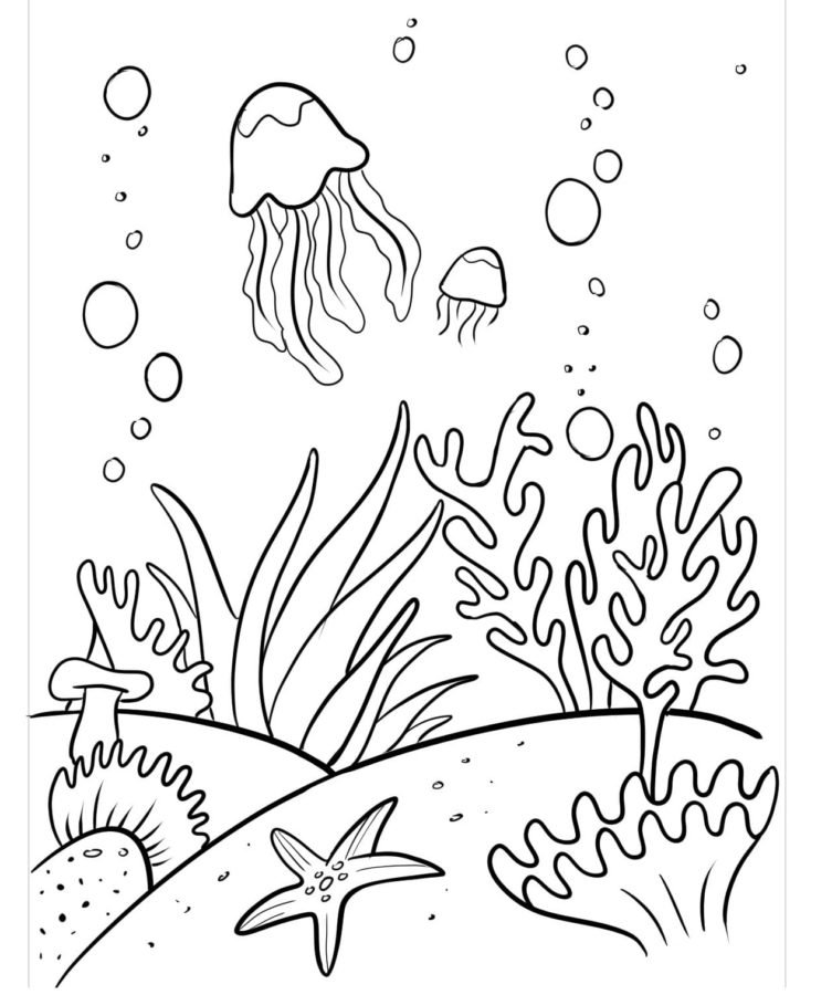 Coral reef coloring pages printable for free download