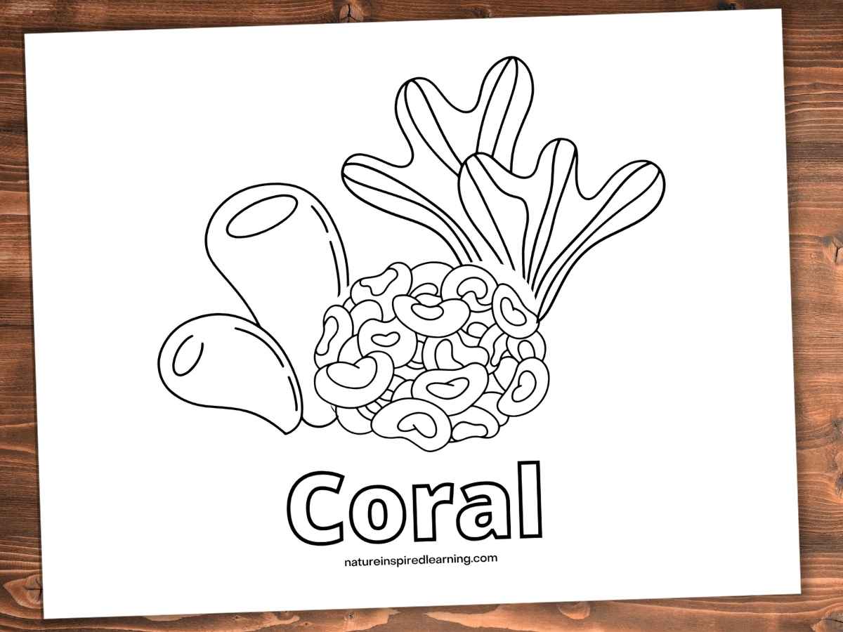 Coral reef coloring pages for kids