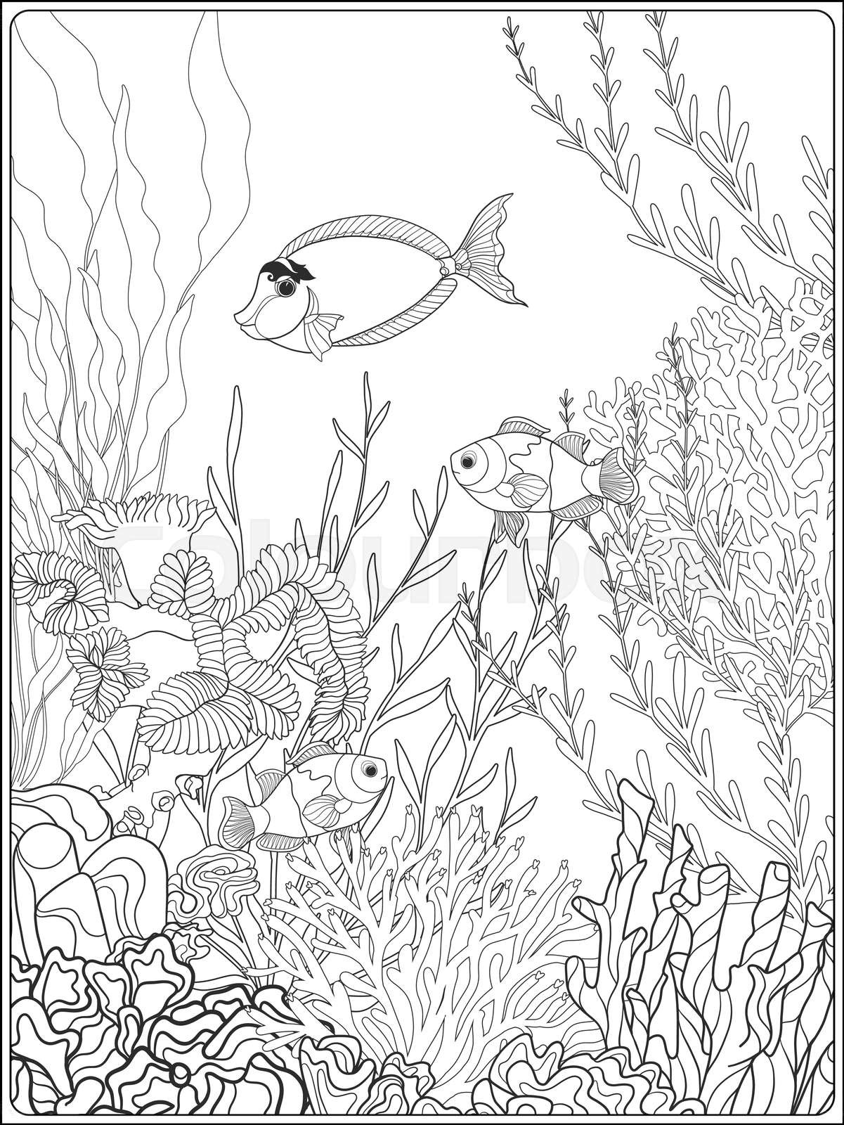 Adult coloring book coloring page with underwater world coral reef stock vector