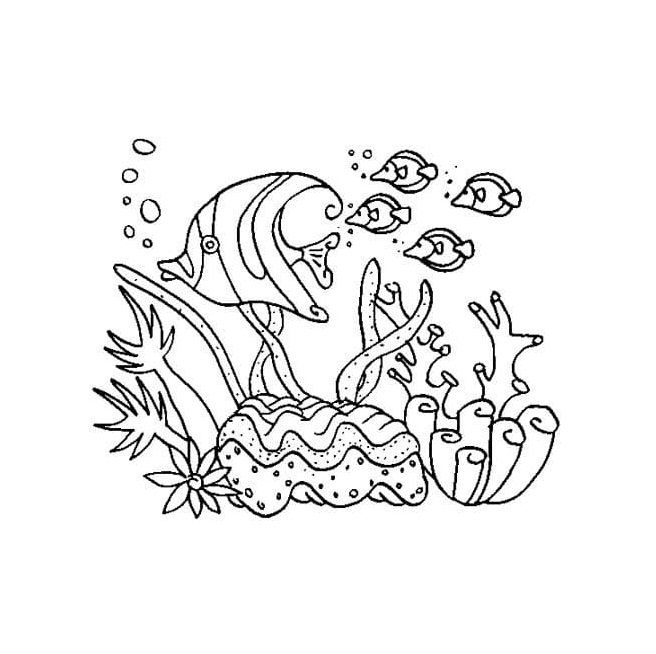 Coral reef coloring pages printable for free download