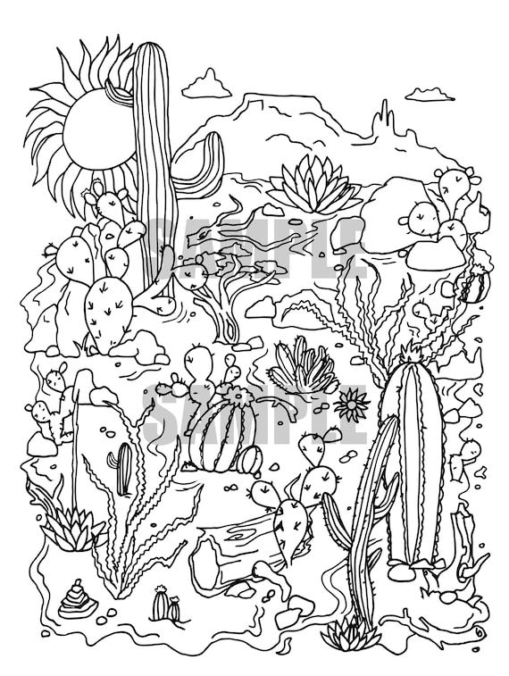 Desert landscape adult coloring page