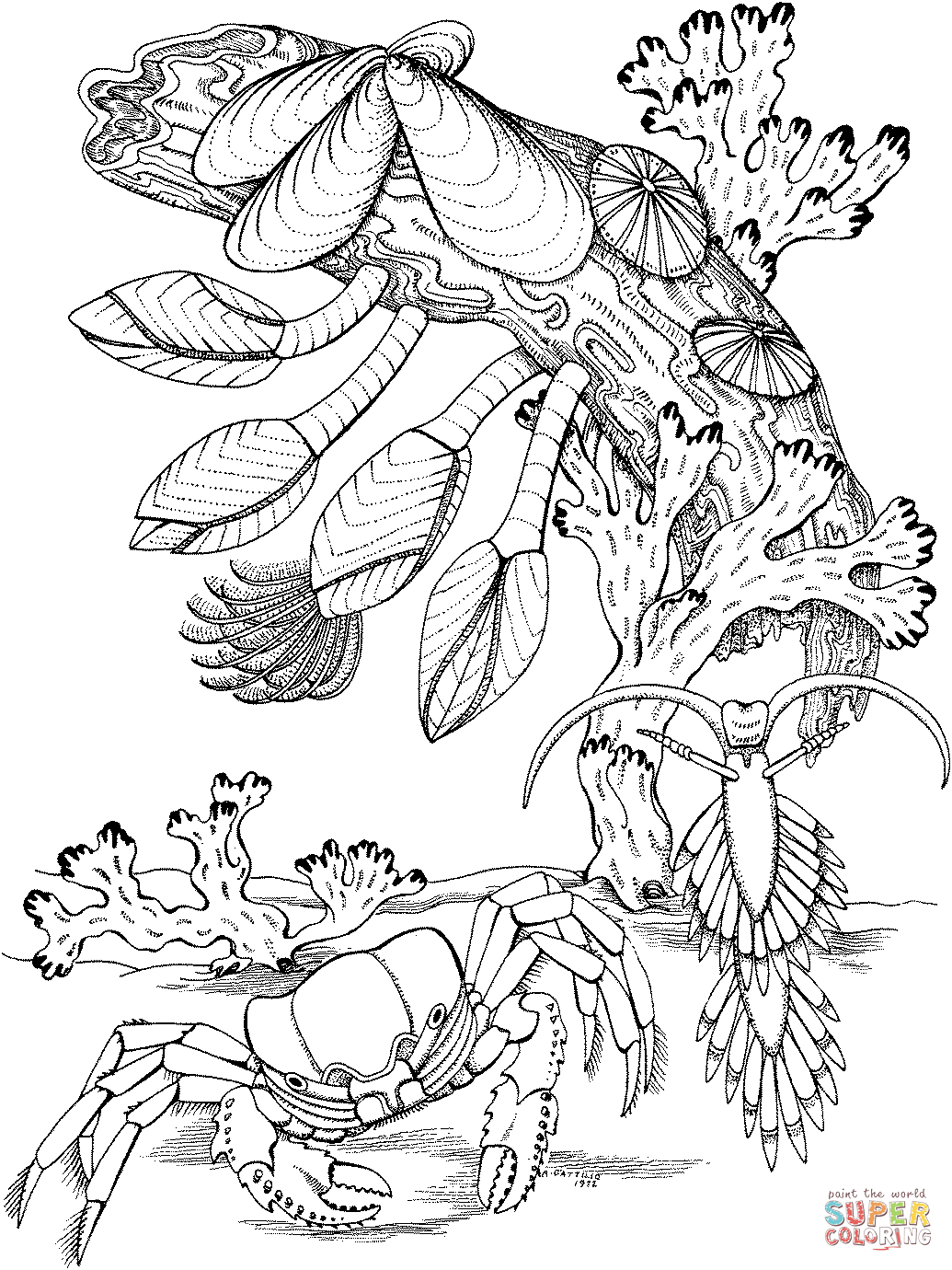 Crab near coral reef coloring page free printable coloring pages