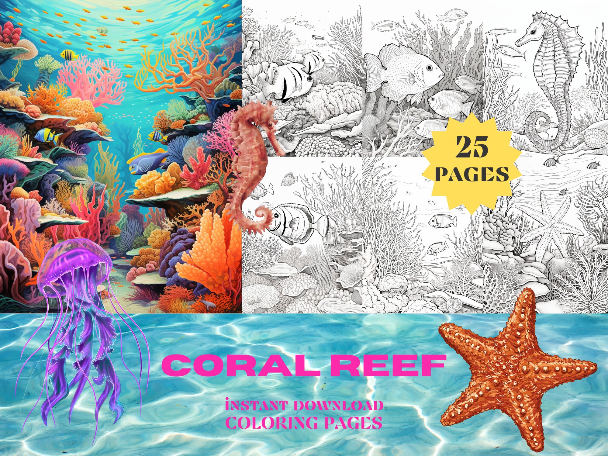 Coral reef colouring