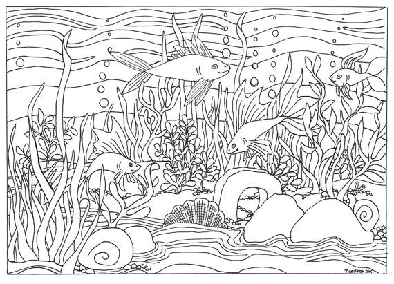 This item is unavailable etsy coloring pages coloring pages nature fish coloring page