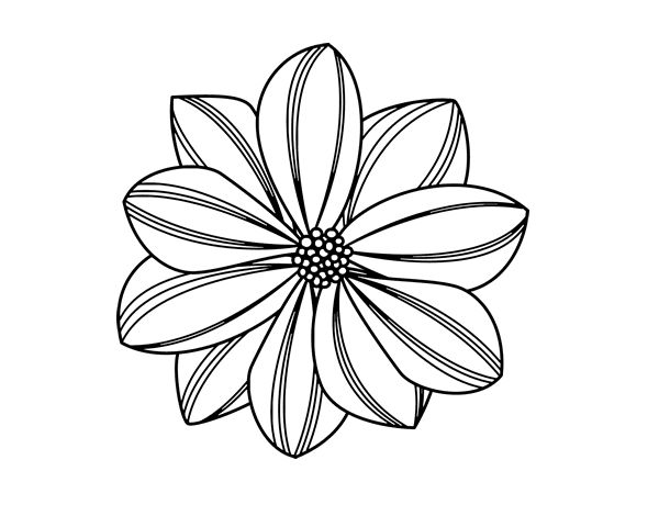 Dibujo de flor de margarita para colorear pãginas para colorear de flores dibujos de flores dibujo de flor