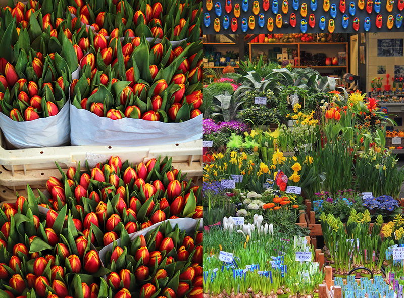 Bloemenmarkt flower market eric vãkel