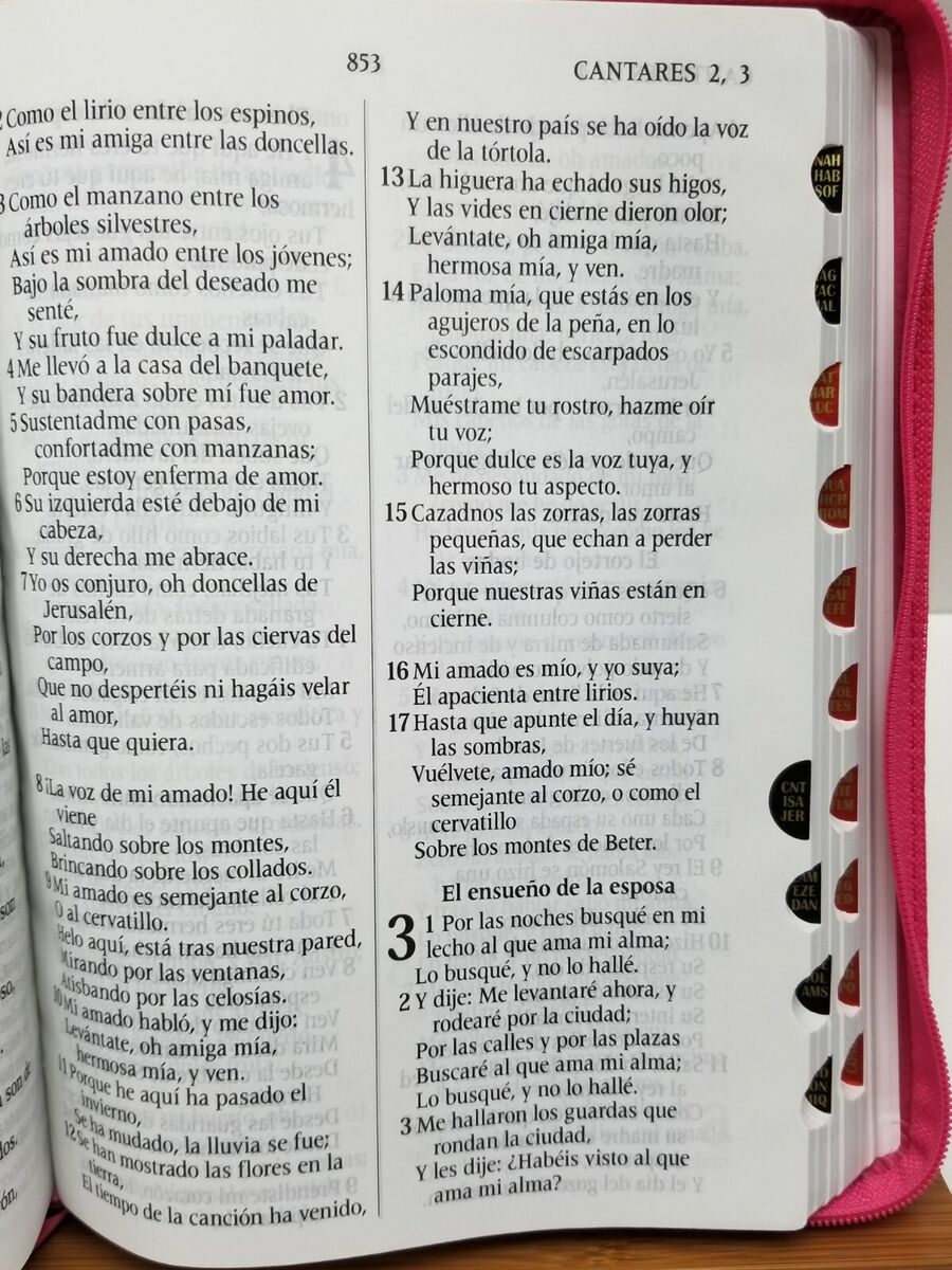 Santa biblia letra gigante reina valera color rosado con ãndice y cierre