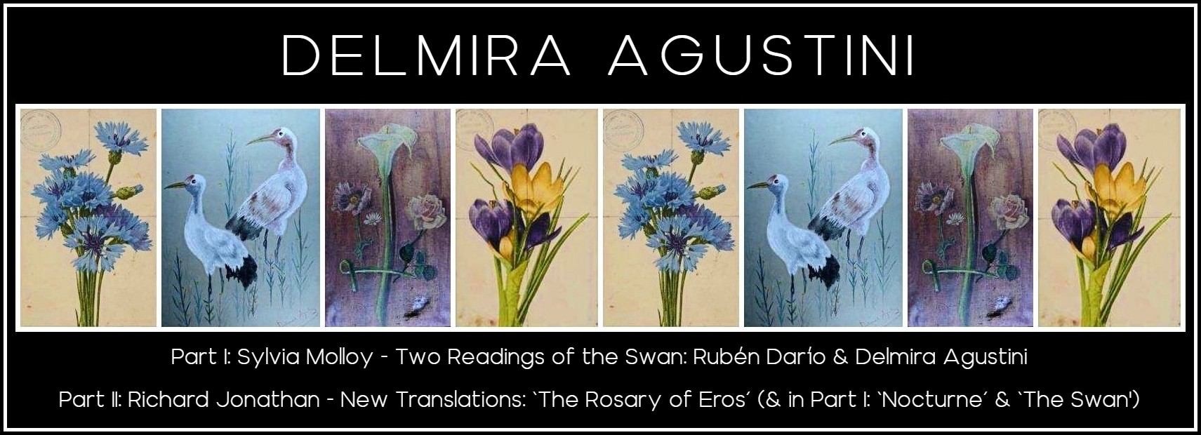 Delmira agustini rosary of eros rubãn darão swans