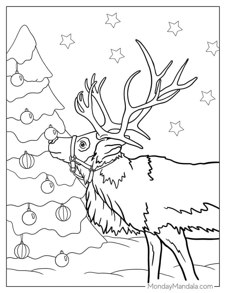 Reindeer coloring pages free pdf printables