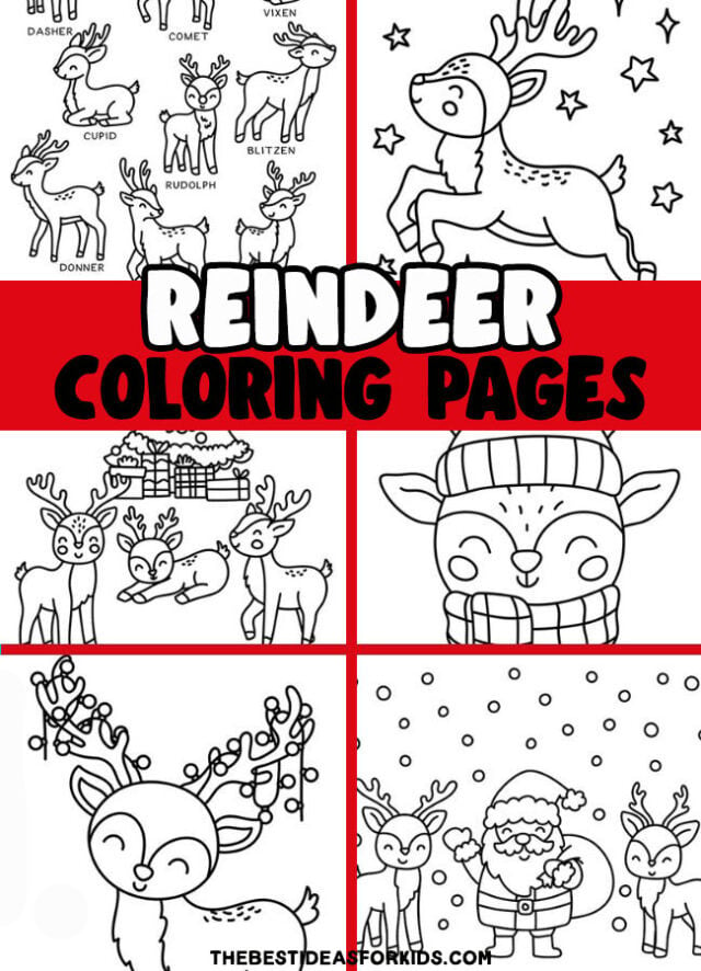 Reindeer coloring pages free printables