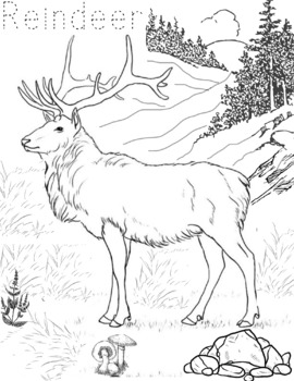 Holiday animal coloring sheet