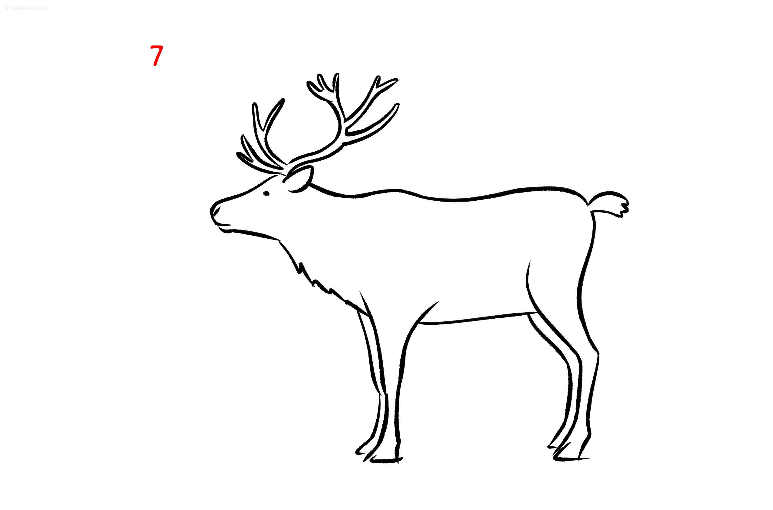 Reindeer coloring pages free printable reindeer coloring sheets