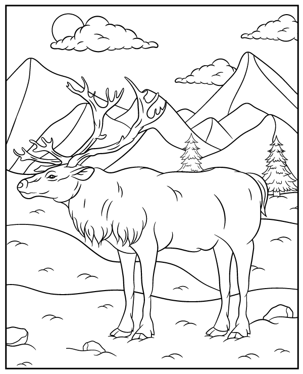 Realistic reindeer coloring page animal