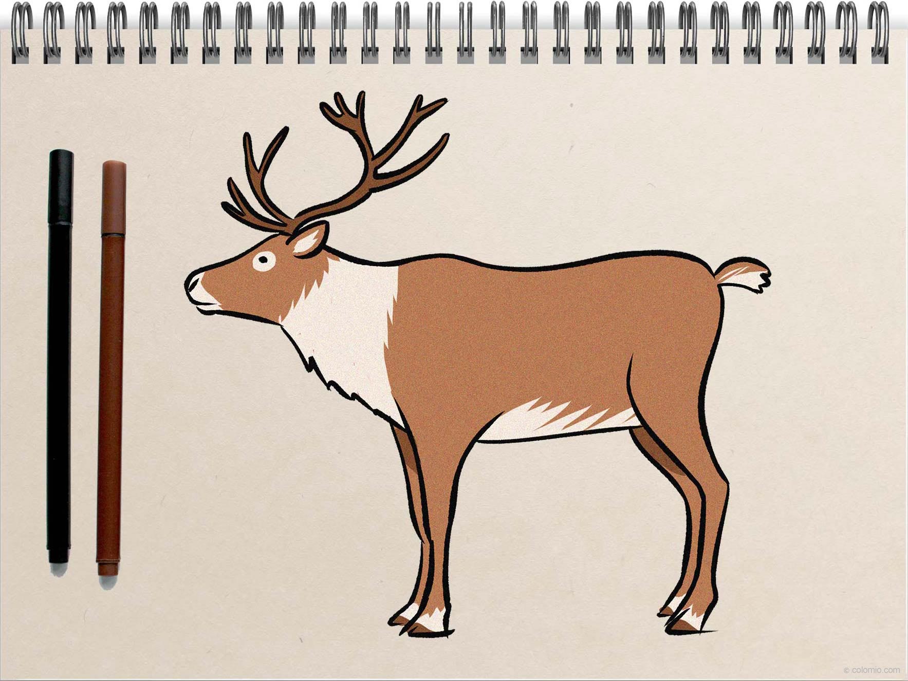 How to draw a reindeer â reindeer drawing ideas