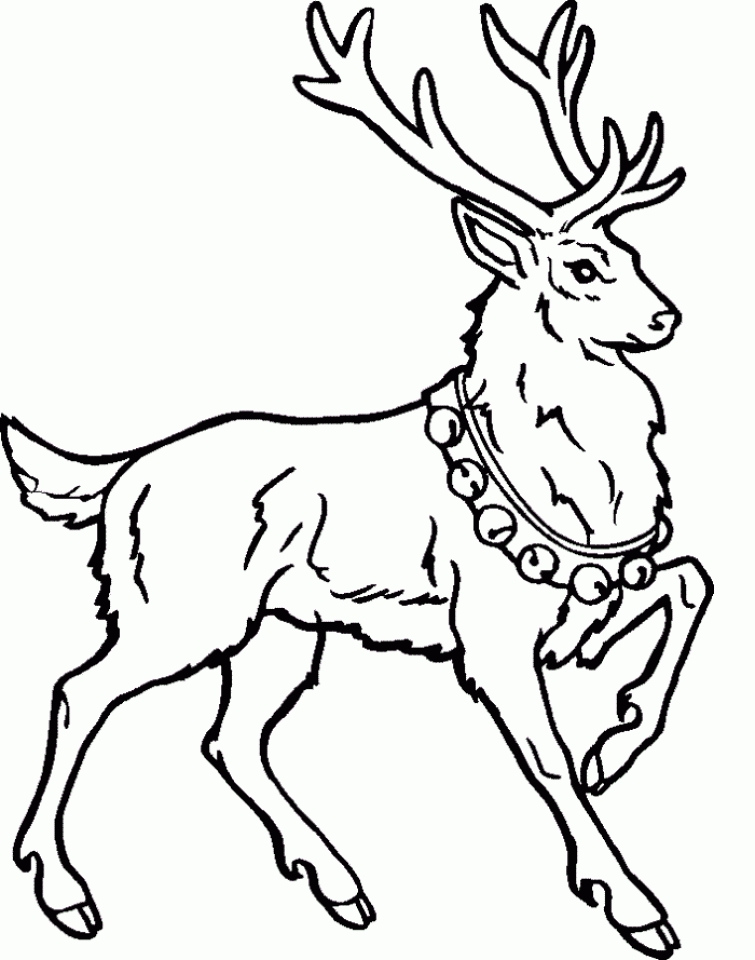 Free printable reindeer coloring pages