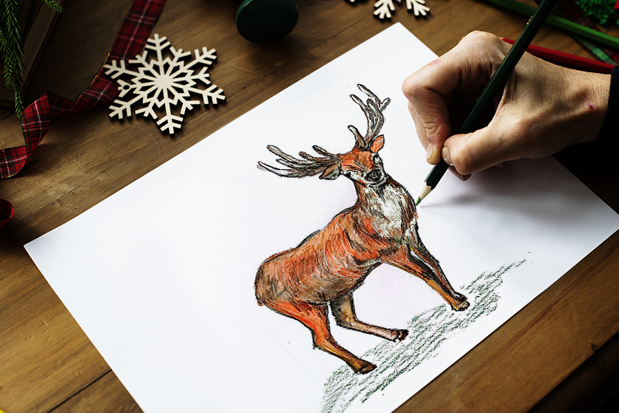 Deer drawing step