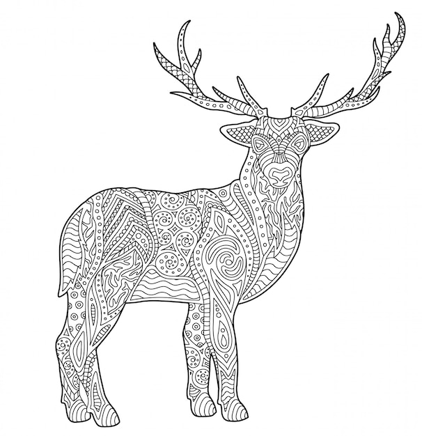 Premium vector adult coloring book page with stylized deer