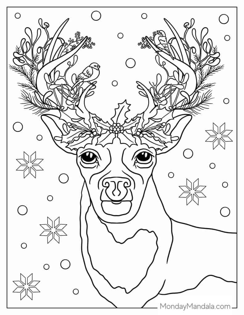 Reindeer coloring pages free pdf printables