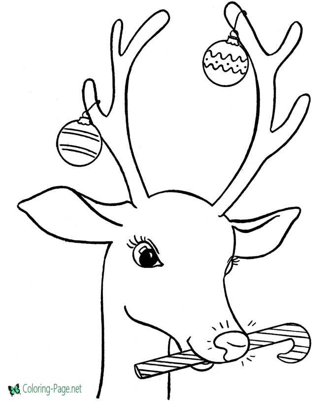 Reindeer coloring pages