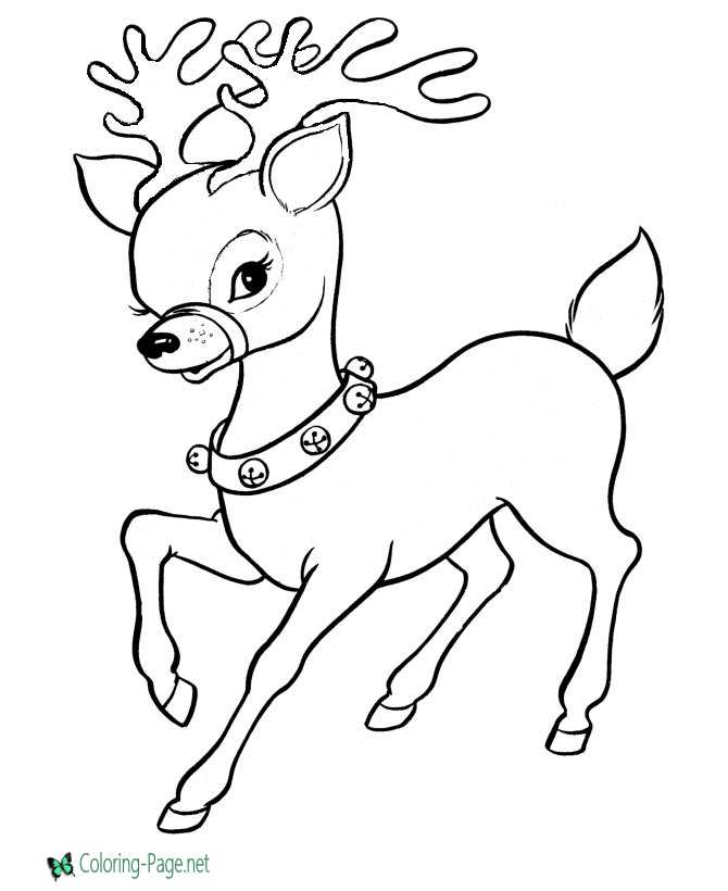 Reindeer coloring pages