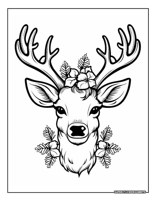 Reindeer coloring pages