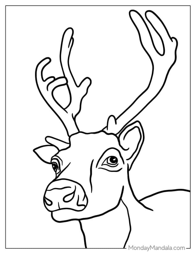 Reindeer coloring pages free pdf printables