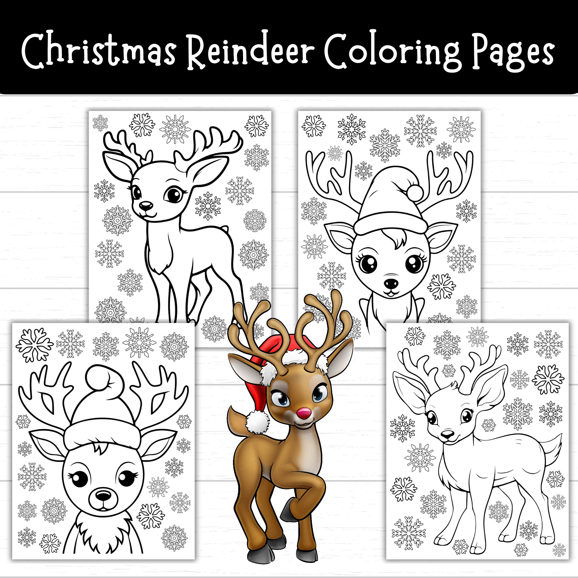 Reindeer coloring