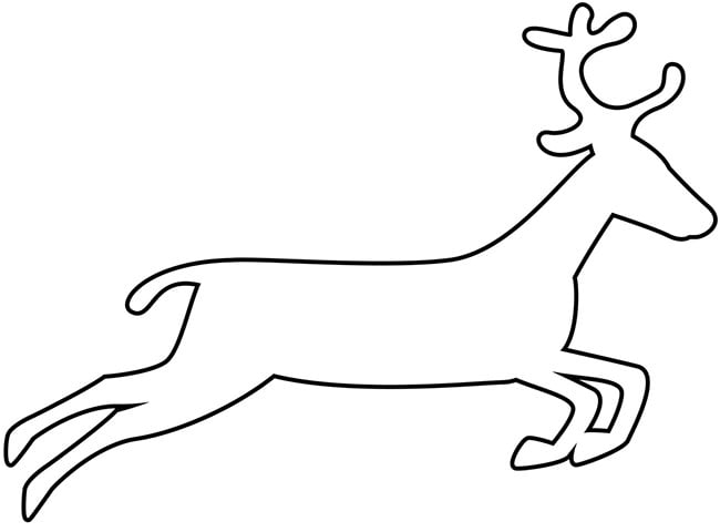 Reindeer