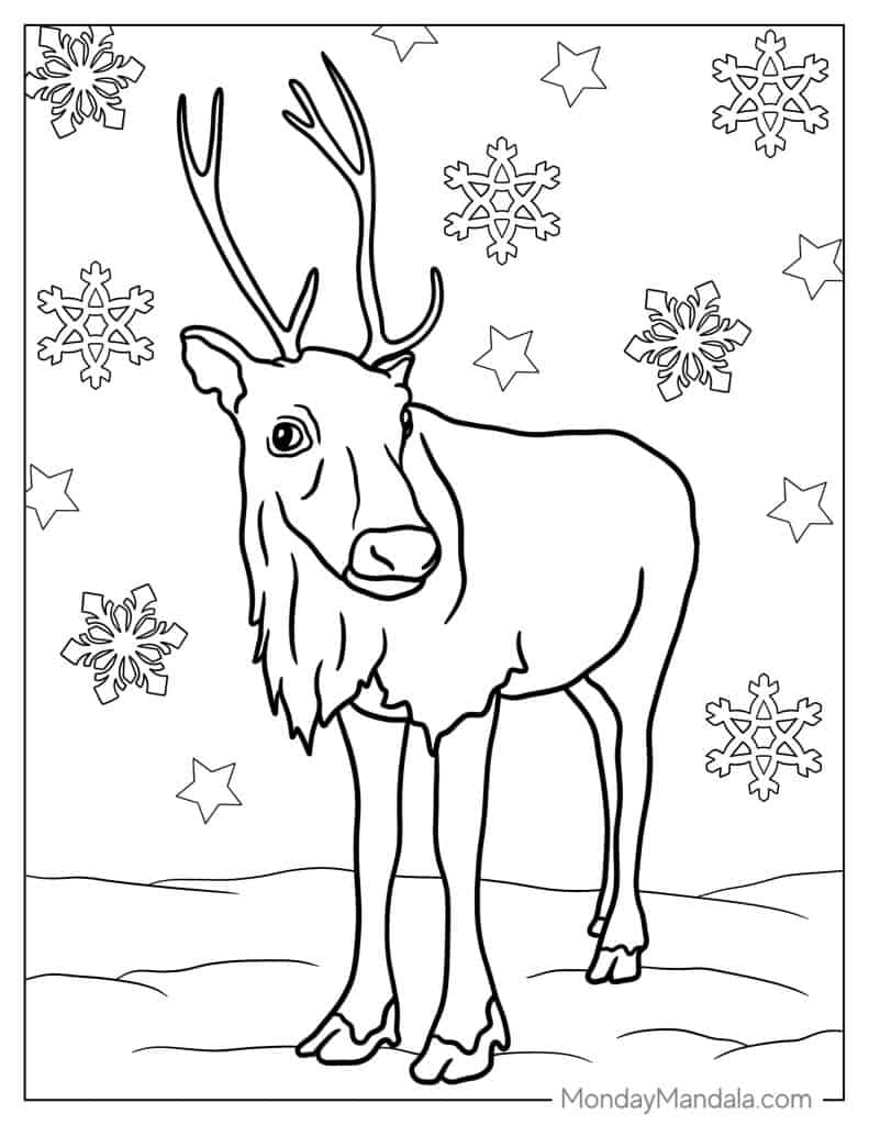 Reindeer coloring pages free pdf printables