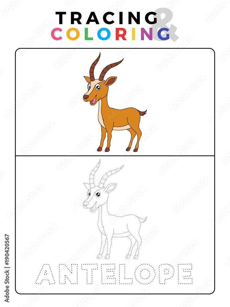 Funny antelope deer animal tracing and coloring book with example preschool worksheet for practicing fine motor and color recognition skill vector cartoon illustration for children vector