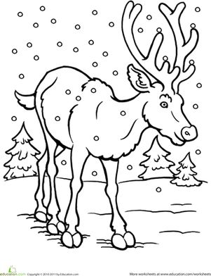 Color the reindeer worksheet education coloring pages winter bunny coloring pages christmas coloring pages