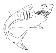 Shark week coloring ideas shark coloring pages shark coloring pages