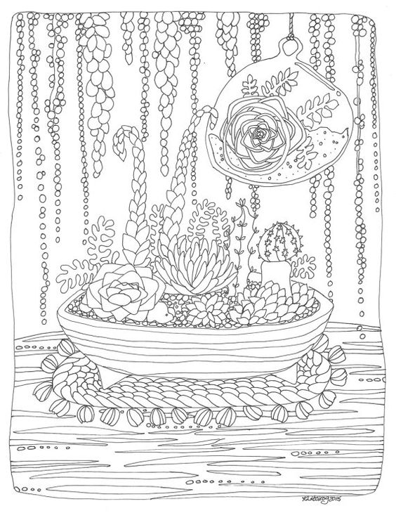 Terrarium succulent coloring page pdf southwt art