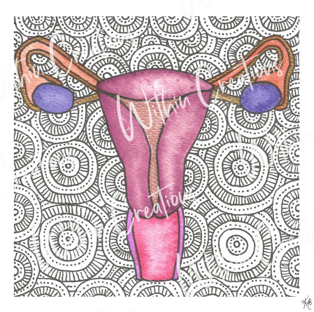 Female reproductive system print â within creations