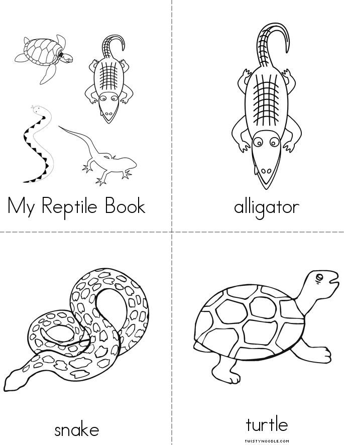 My reptile book