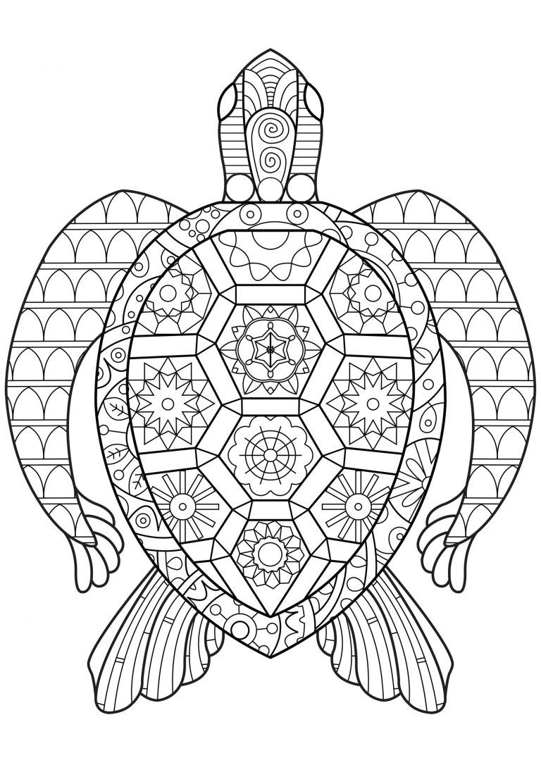 Reptile coloring pages