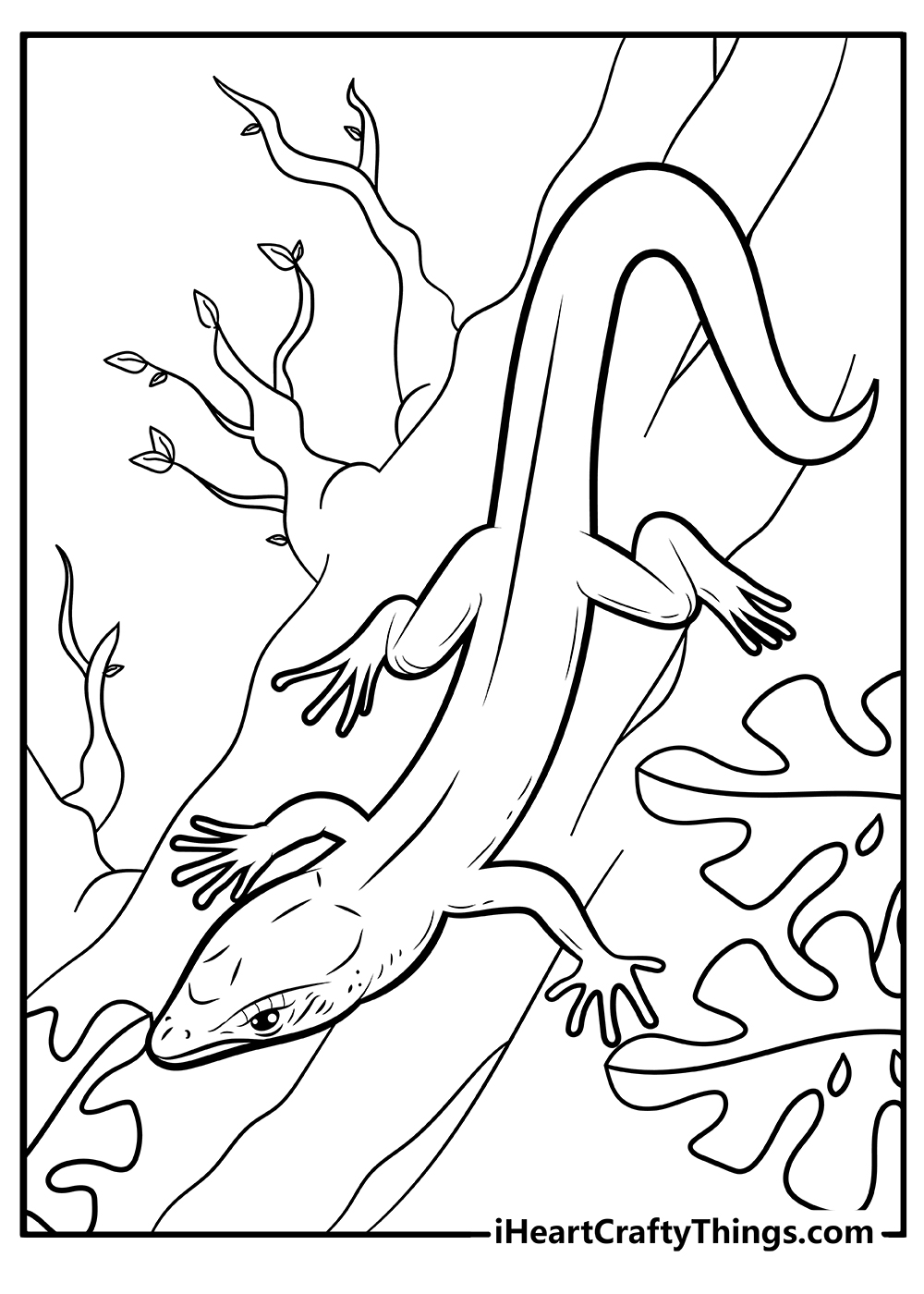 Lizard coloring pages free printables