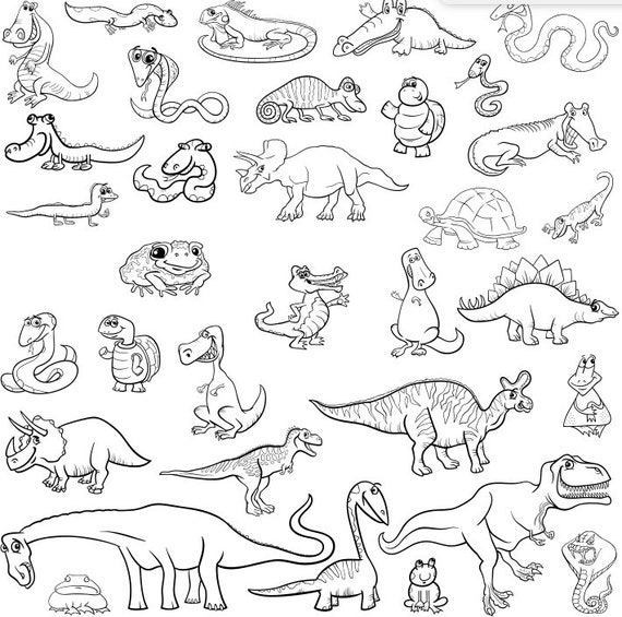 Reptile coloring pages for kids printable digital instant download of reptiles and amphibians for children