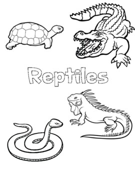 Reptiles coloring page by mama zopp tpt