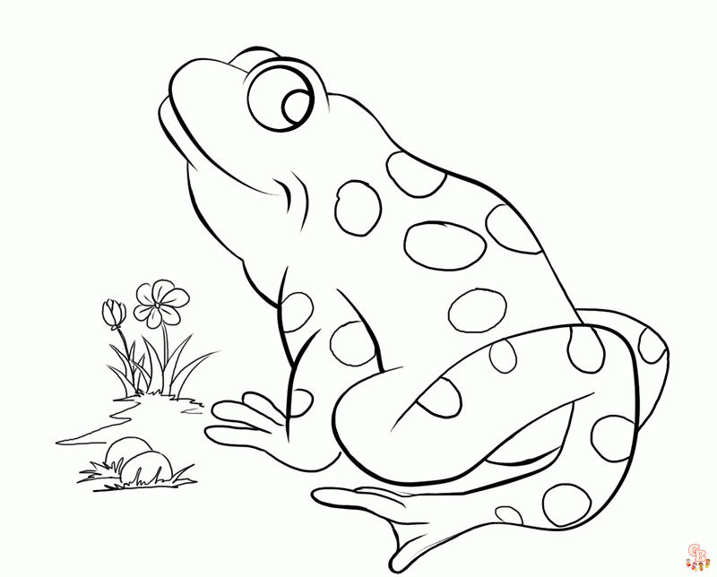 Enjoy the fun of learning with reptile coloring pages