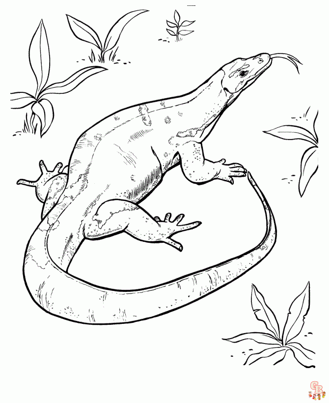 Enjoy the fun of learning with reptile coloring pages