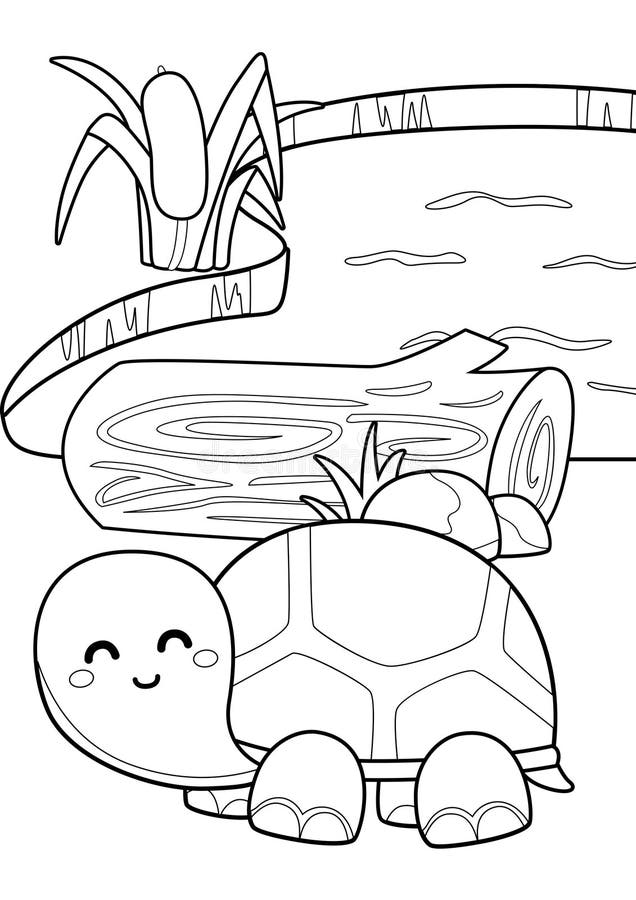 Turtle tortoise reptile animal coloring pages a for kids and adult stock illustration